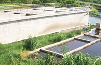 南安市協興良種養(yǎng)殖有限公司